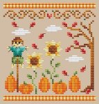 Pumpkin Patch (image for) Pumpkin Patch